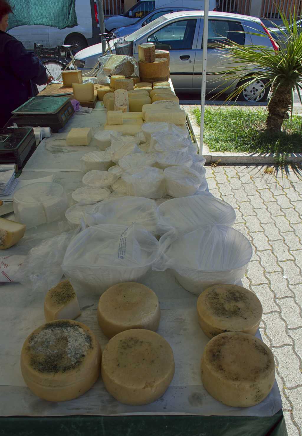 Il mercatino biologico di Piazza Tor San Michele a Ostia